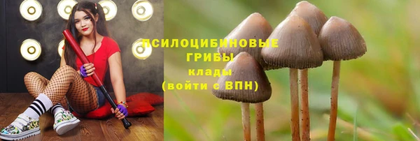 PSILOCYBIN Михайловка