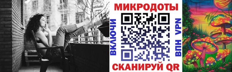 сколько стоит  Сергач  Псилоцибиновые грибы MAGIC MUSHROOMS 